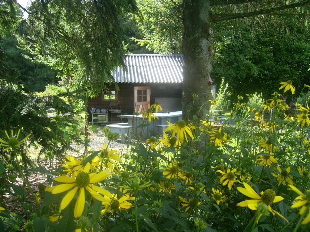 Heidehof Hellenthal Villa Exterior photo